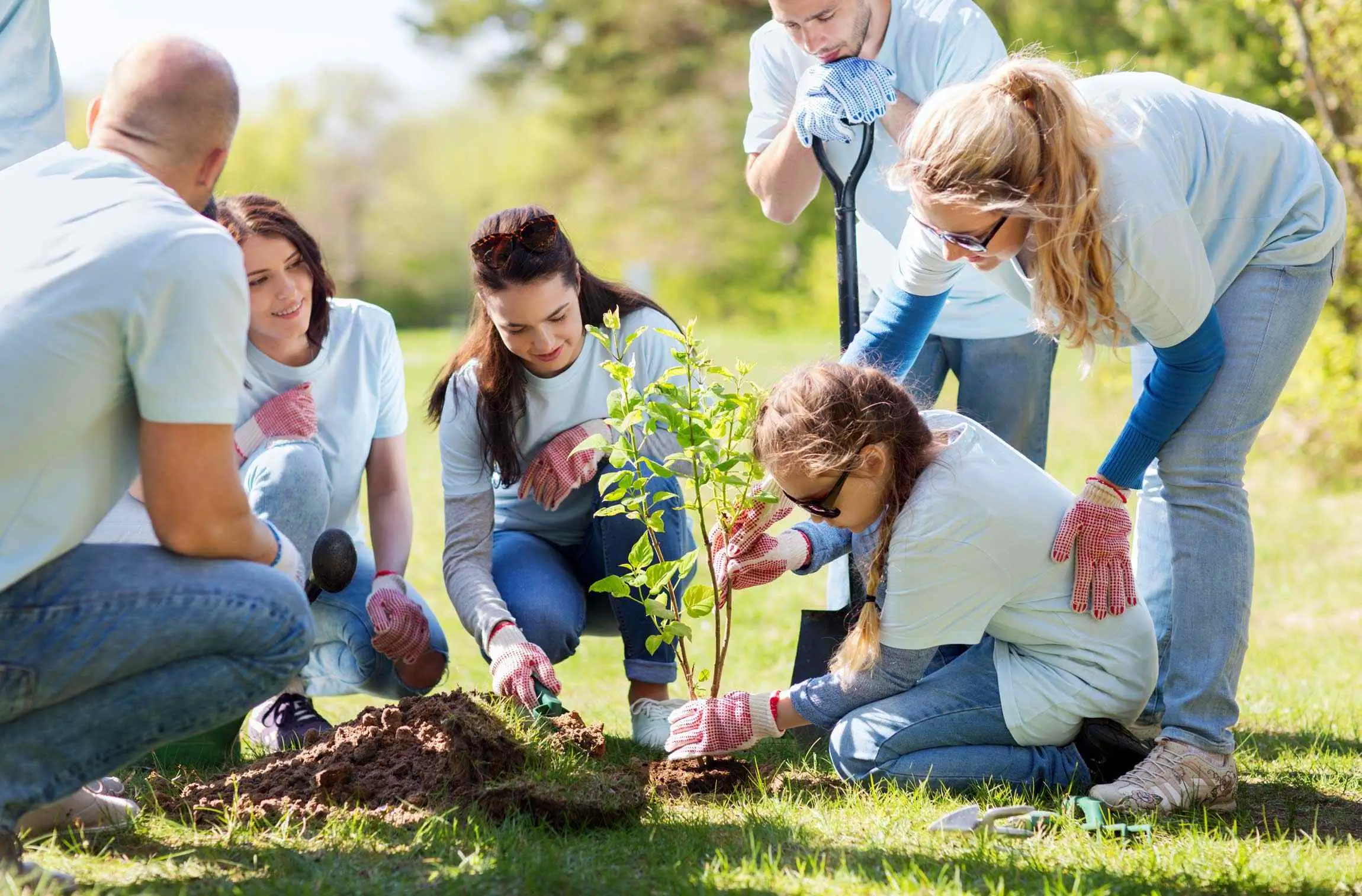 Group & Centre Activities
